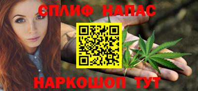 шишки Бузулук