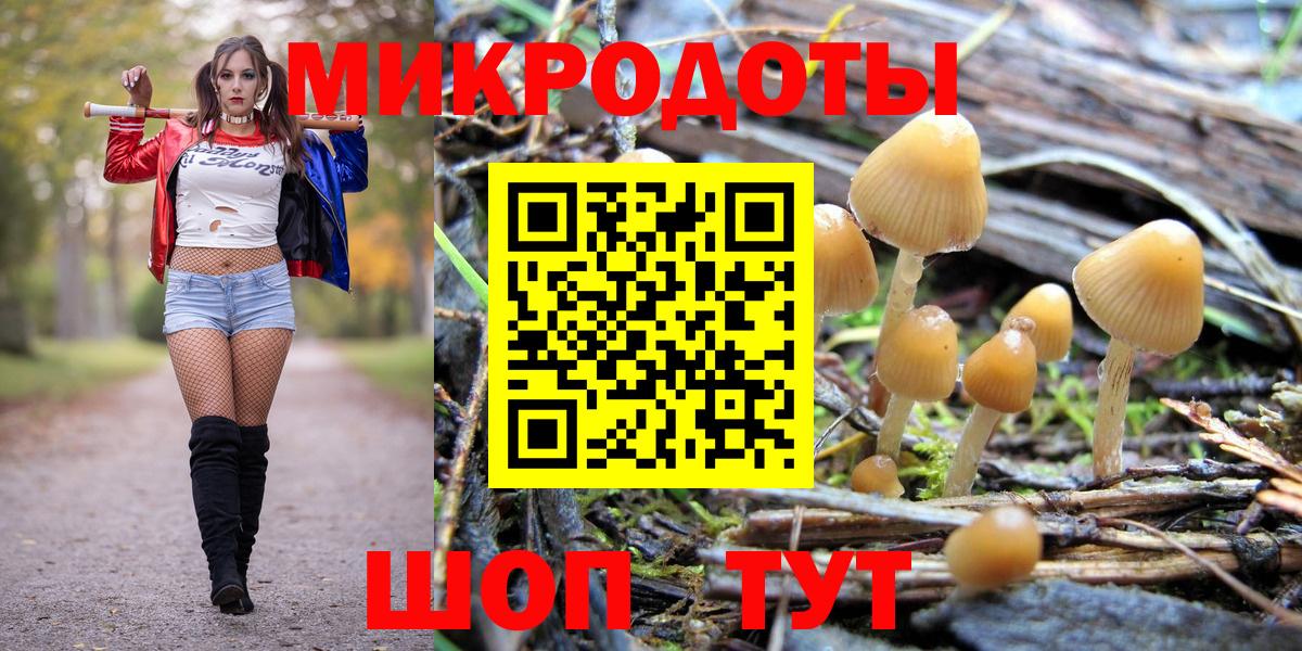 Псилоцибиновые грибы Magic Shrooms Рубцовск